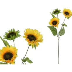 Vara Girasol D12cm 65cm