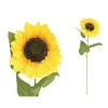 Vara Girasol D17cm 69cm